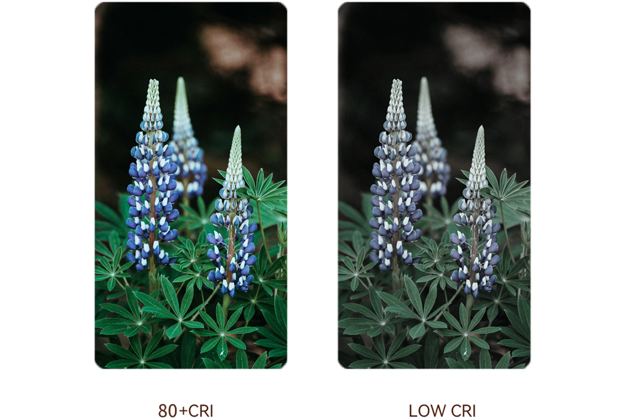 High Color Rendering Index (CRI)